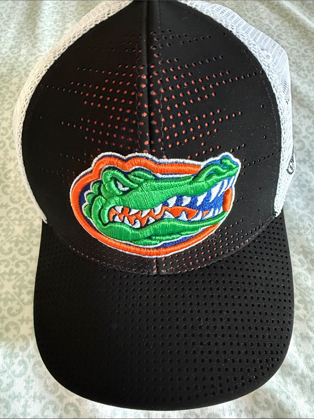 Top of the World Florida crushed logo hat